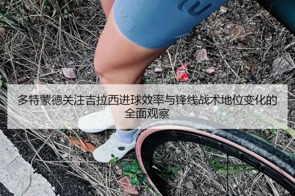 多特蒙德关注吉拉西进球效率与锋线战术地位变化的全面观察